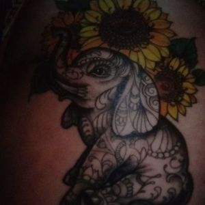 Meet your Posher, Frances